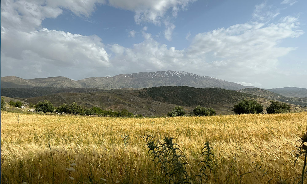شرایط زندگی ایرانیان در قبرس شمالی